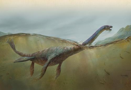 D_15-Loch-Ness-Monster_Color_ok