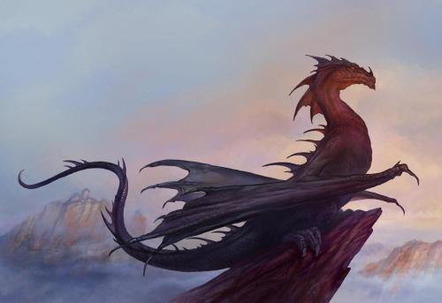 D_35_Ethiopian-Dragon_Color_ok